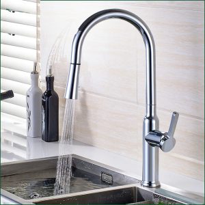 Vòi rửa Roslerer RL-805 New